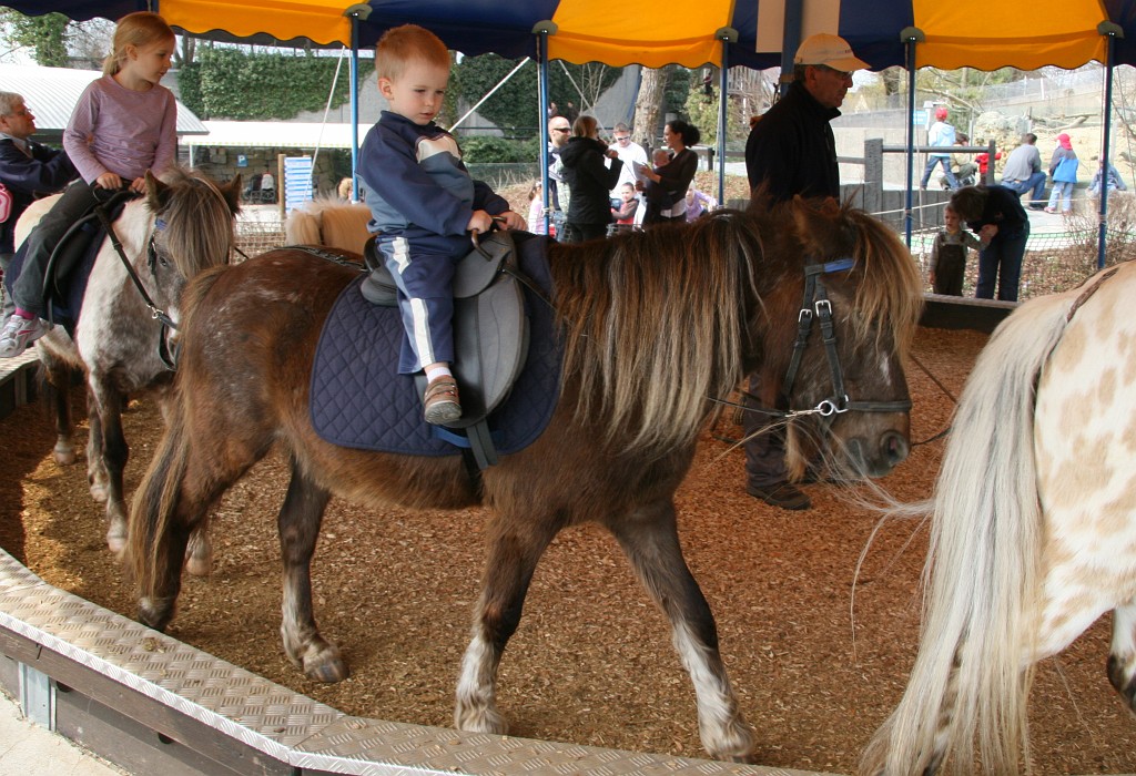 275 Pony.jpg - Jízdu na poníkovi už zvládnu docela sám.